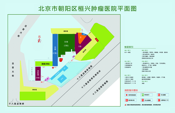 大鸡巴艹逼网站北京市朝阳区桓兴肿瘤医院平面图